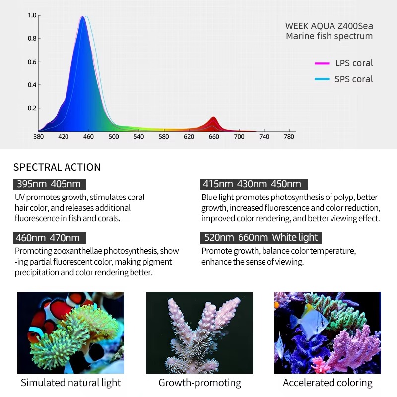 Iluminação LED para Aquário de - Marine Aquarium Led Lights avaliação e preço