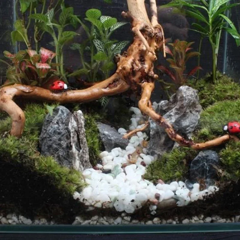Natural Tree Tronco Driftwood  - Marine Aquarium All In One avaliação e preço