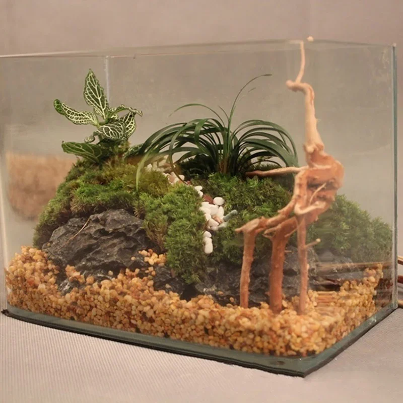Natural Tree Tronco Driftwood  - Marine Aquarium All In One avaliação e preço