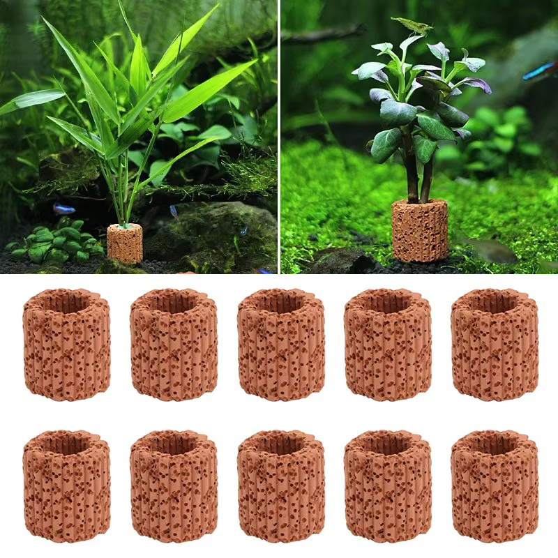 Anel fixo de planta aquática p - Marine Aquarium All In One avaliação e preço