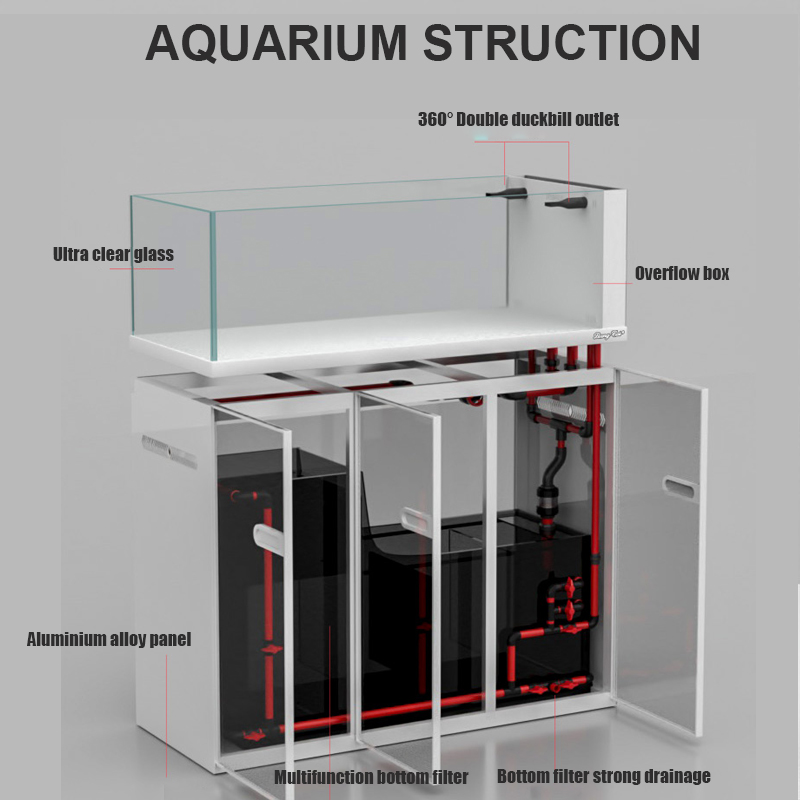 Grande estilo moderno tanque d - Aquarium Marine Fish For Sale avaliação e preço