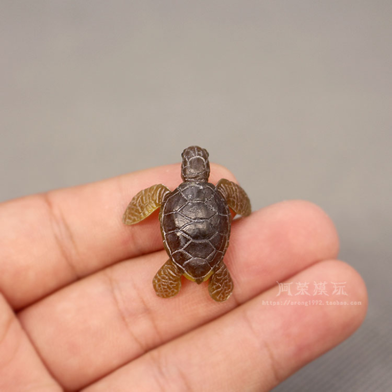Modelo de tartaruga marinha ma - Marine Aquarium Japan avaliação e preço