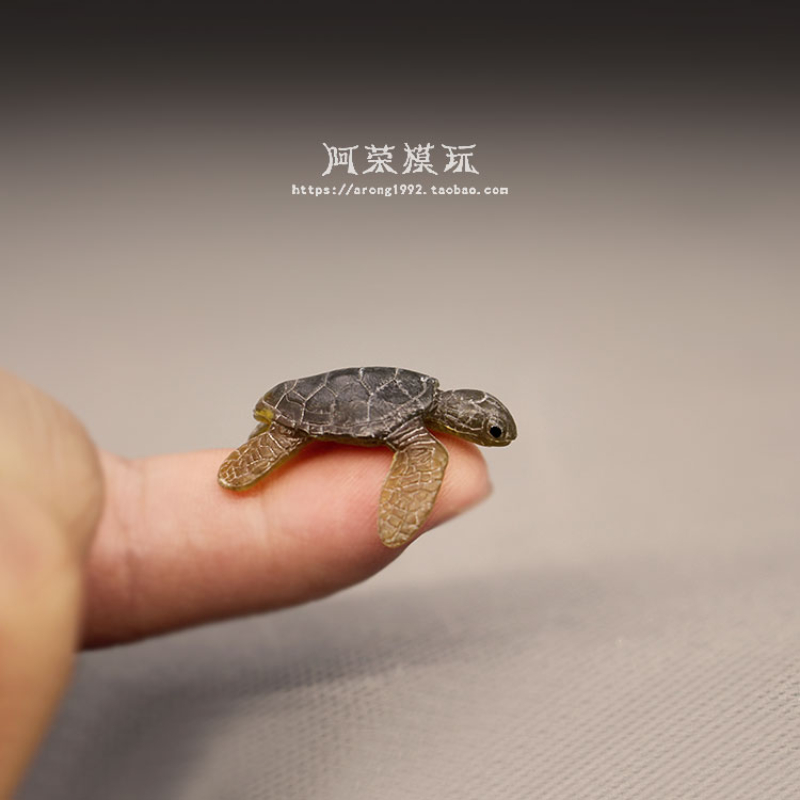 Modelo de tartaruga marinha ma - Marine Aquarium Japan avaliação e preço
