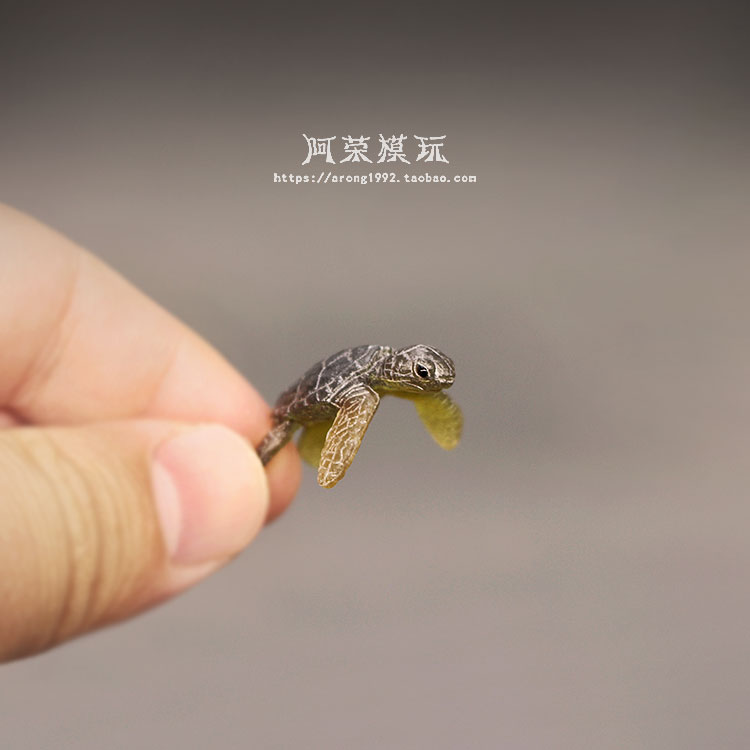Modelo de tartaruga marinha ma - Marine Aquarium Japan avaliação e preço