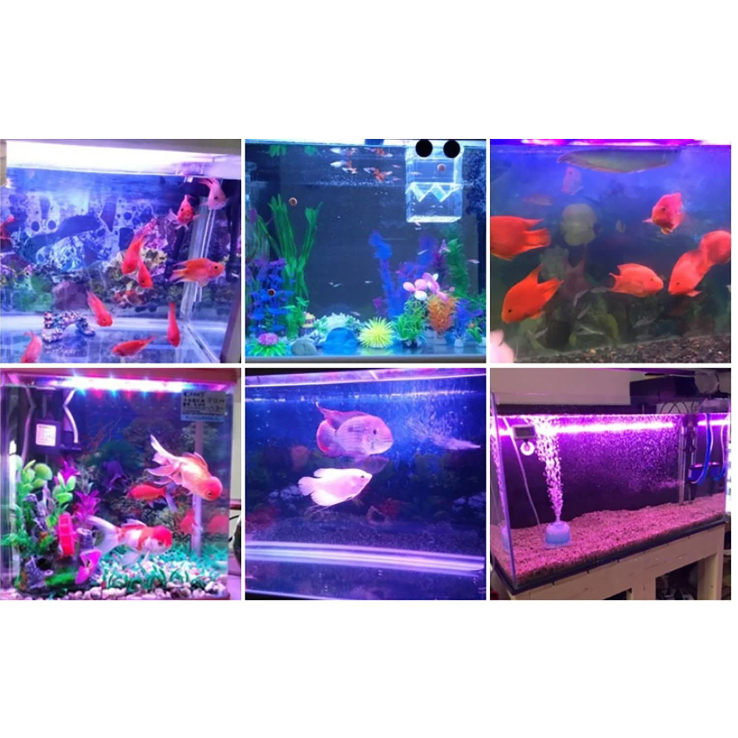 Iluminação LED para aquário ma - Marine Aquarium Uv Light avaliação e preço