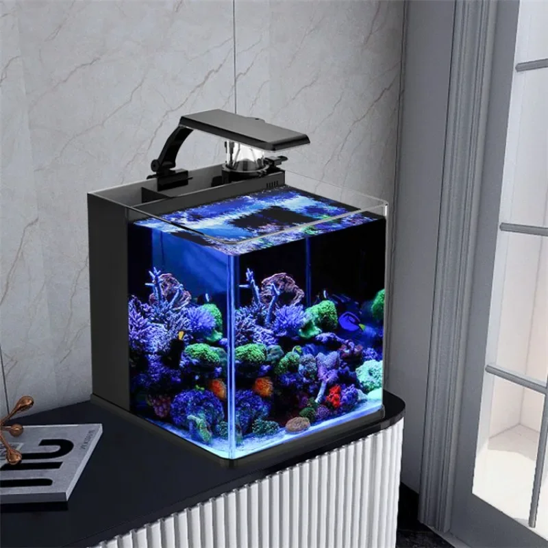 Venda Quente Aquário Mini de Á - Aquarium Marine Fish For Sale avaliação e preço
