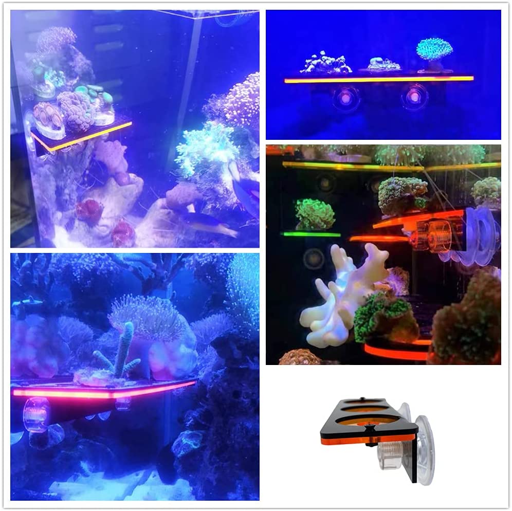 Fluorescente coral frag plug s - Marine Aquarium All In One avaliação e preço