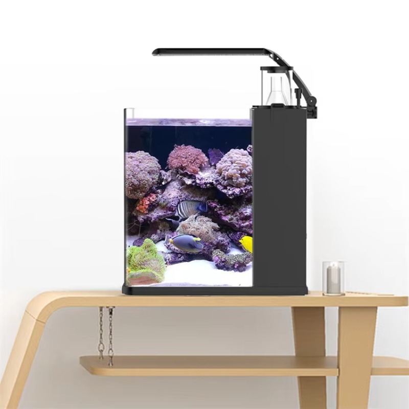 Aquário de Mesa Curvo para Pei - Marine Aquarium All In One avaliação e preço