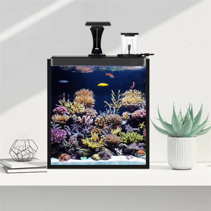Aquário de Mesa Curvo para Pei - Marine Aquarium All In One avaliação e preço